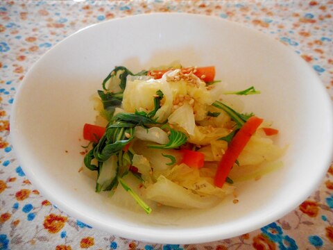 白菜にんじん水菜のナムル